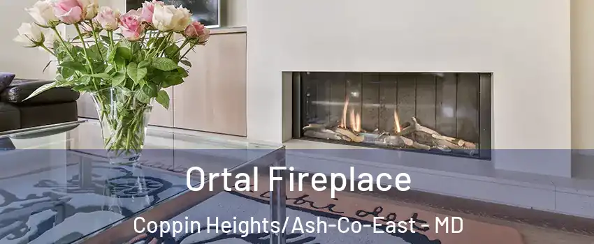 Ortal Fireplace Coppin Heights/Ash-Co-East - MD