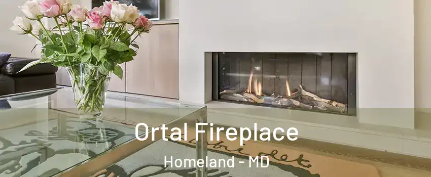 Ortal Fireplace Homeland - MD