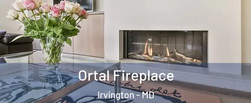 Ortal Fireplace Irvington - MD