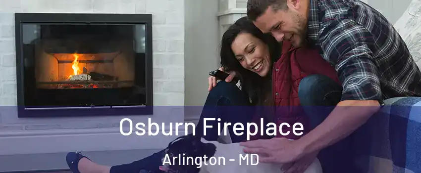 Osburn Fireplace Arlington - MD