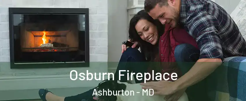 Osburn Fireplace Ashburton - MD