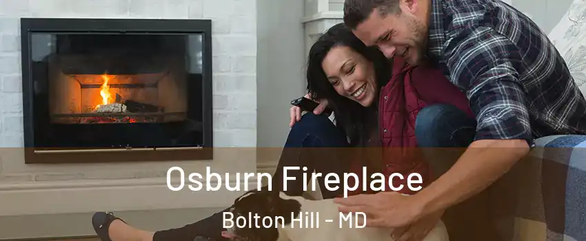 Osburn Fireplace Bolton Hill - MD