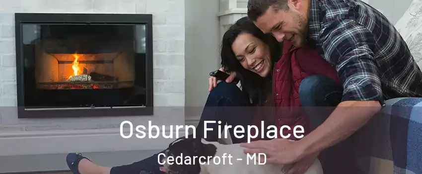 Osburn Fireplace Cedarcroft - MD