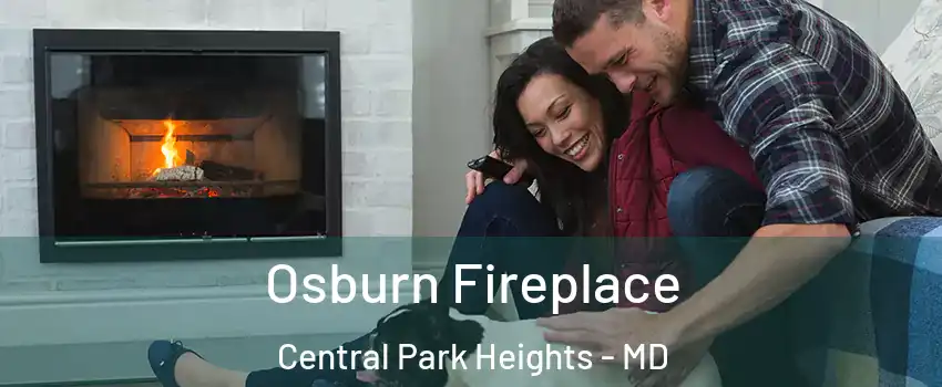 Osburn Fireplace Central Park Heights - MD