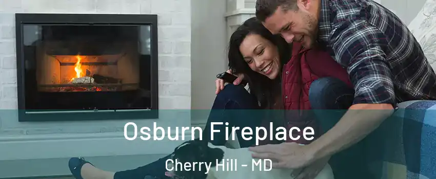 Osburn Fireplace Cherry Hill - MD