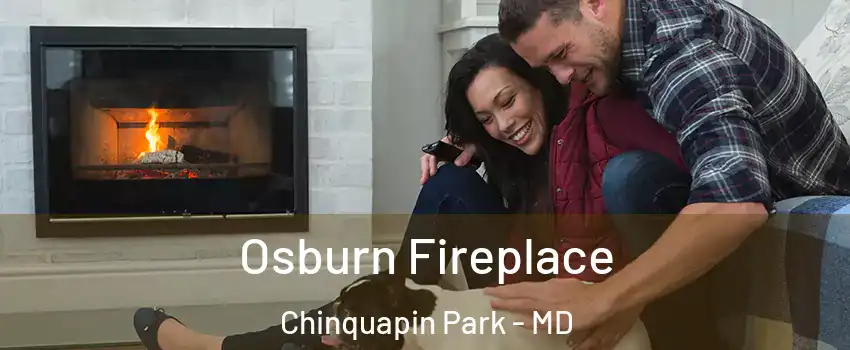 Osburn Fireplace Chinquapin Park - MD