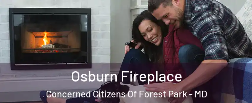 Osburn Fireplace Concerned Citizens Of Forest Park - MD