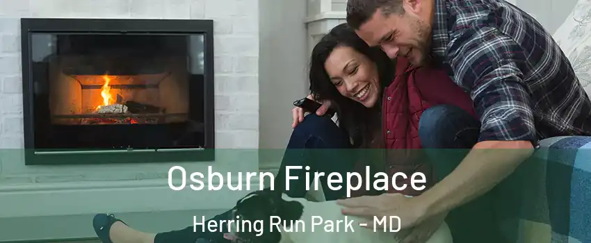 Osburn Fireplace Herring Run Park - MD