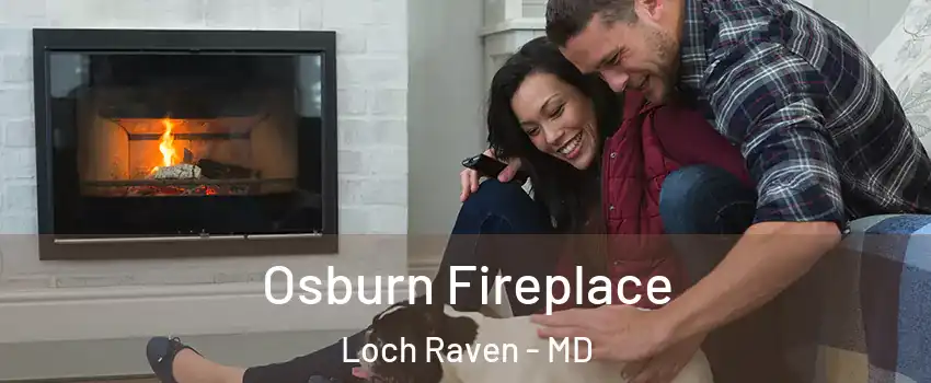 Osburn Fireplace Loch Raven - MD