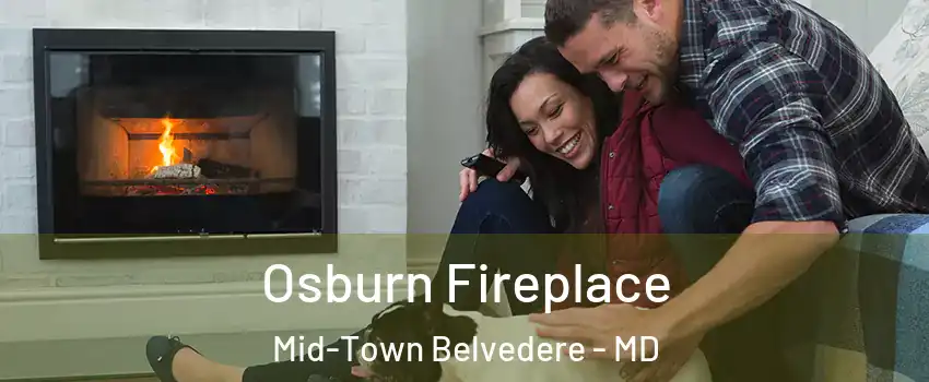 Osburn Fireplace Mid-Town Belvedere - MD