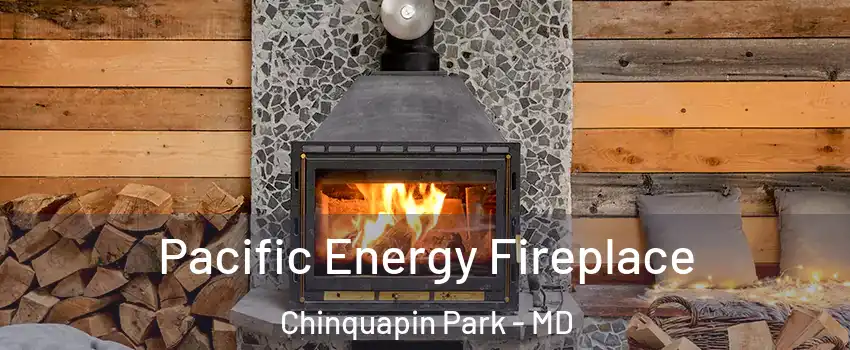 Pacific Energy Fireplace Chinquapin Park - MD