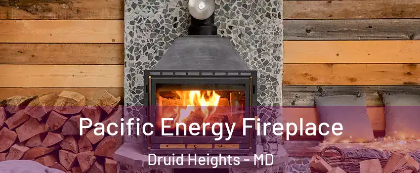 Pacific Energy Fireplace Druid Heights - MD