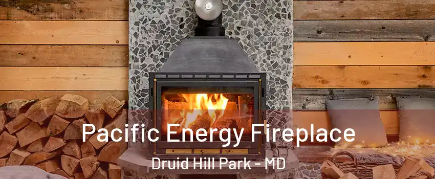 Pacific Energy Fireplace Druid Hill Park - MD