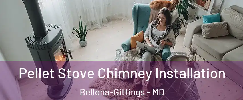 Pellet Stove Chimney Installation Bellona-Gittings - MD