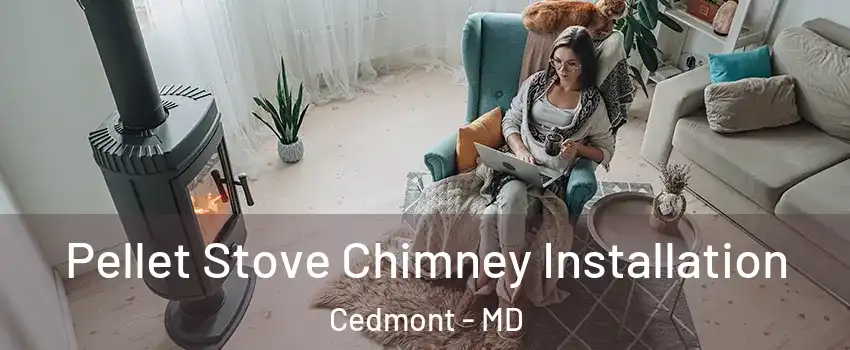 Pellet Stove Chimney Installation Cedmont - MD