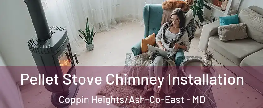 Pellet Stove Chimney Installation Coppin Heights/Ash-Co-East - MD