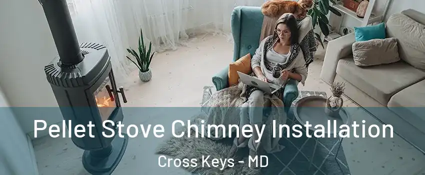 Pellet Stove Chimney Installation Cross Keys - MD