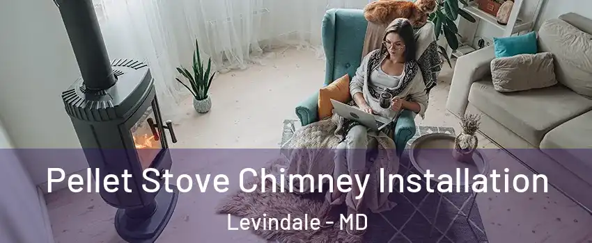 Pellet Stove Chimney Installation Levindale - MD