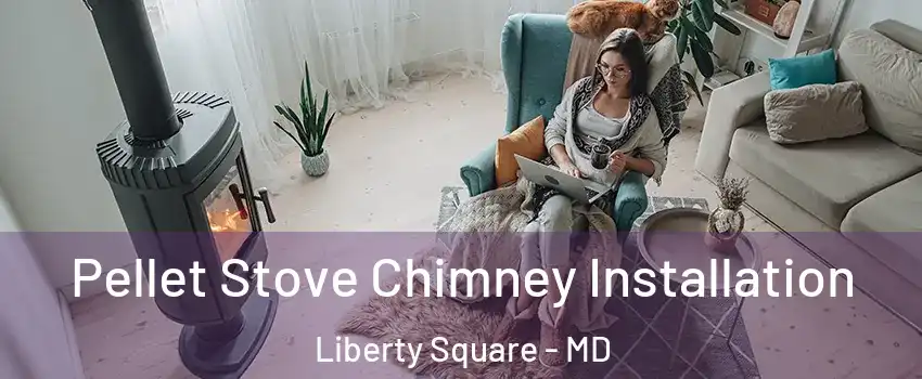 Pellet Stove Chimney Installation Liberty Square - MD