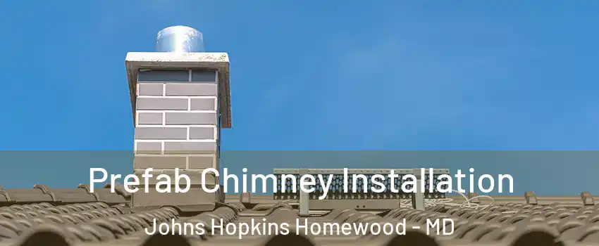 Prefab Chimney Installation Johns Hopkins Homewood - MD