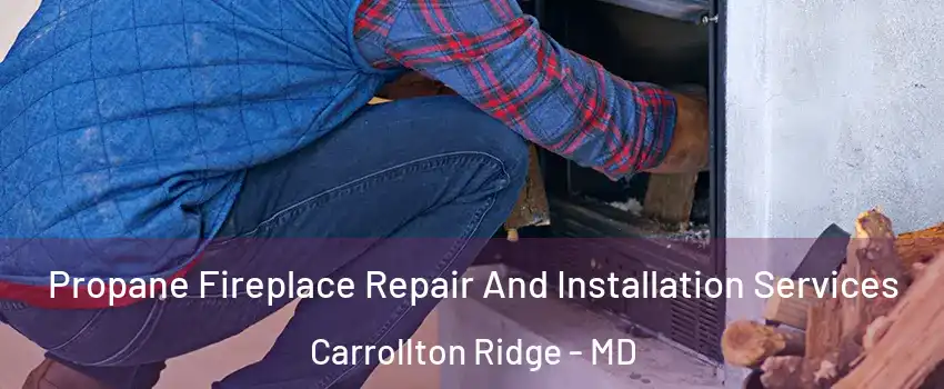 Propane Fireplace Repair And Installation Services Carrollton Ridge - MD