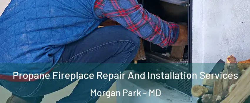 Propane Fireplace Repair And Installation Services Morgan Park - MD