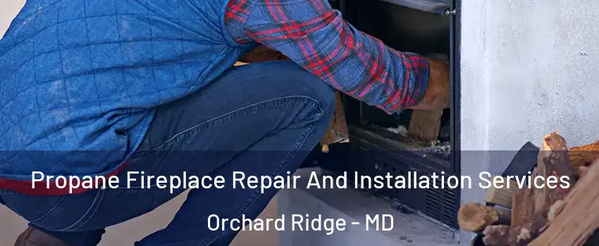 Propane Fireplace Repair And Installation Services Orchard Ridge - MD