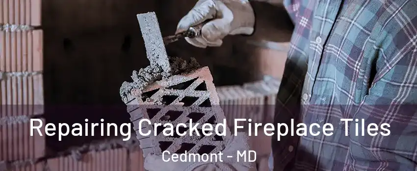 Repairing Cracked Fireplace Tiles Cedmont - MD