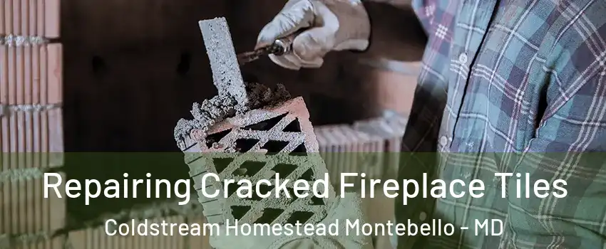 Repairing Cracked Fireplace Tiles Coldstream Homestead Montebello - MD