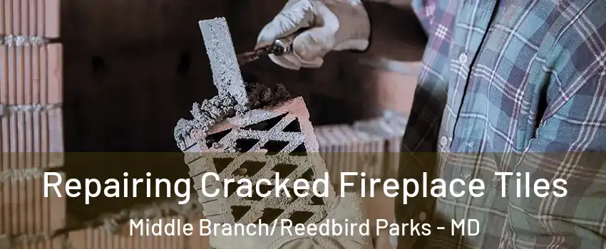 Repairing Cracked Fireplace Tiles Middle Branch/Reedbird Parks - MD