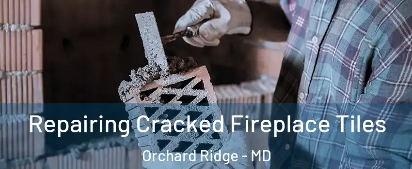 Repairing Cracked Fireplace Tiles Orchard Ridge - MD