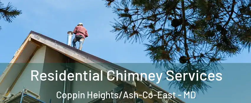 Residential Chimney Services Coppin Heights/Ash-Co-East - MD