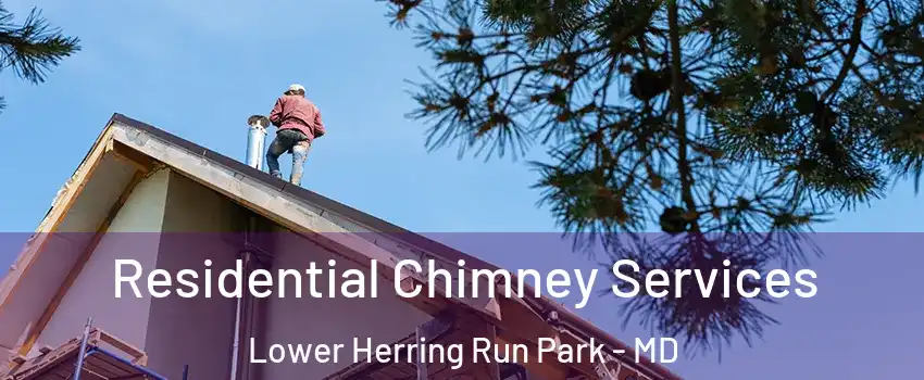 Residential Chimney Services Lower Herring Run Park - MD