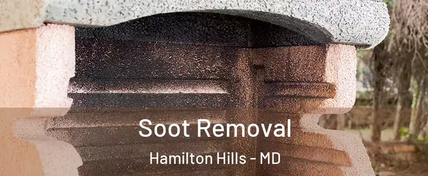 Soot Removal Hamilton Hills - MD