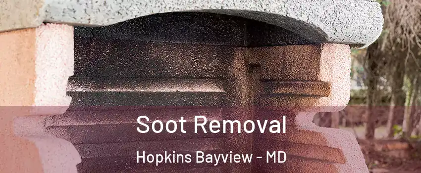 Soot Removal Hopkins Bayview - MD