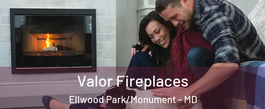 Valor Fireplaces Ellwood Park/Monument - MD