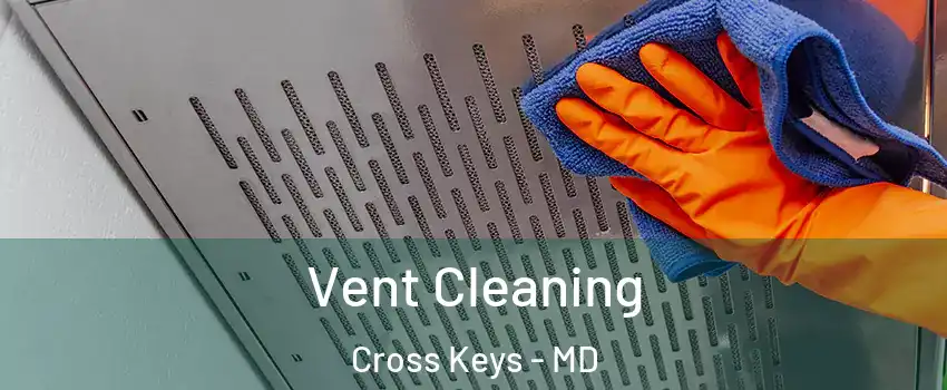 Vent Cleaning Cross Keys - MD