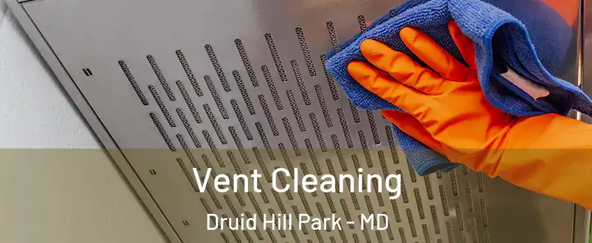 Vent Cleaning Druid Hill Park - MD