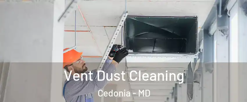 Vent Dust Cleaning Cedonia - MD