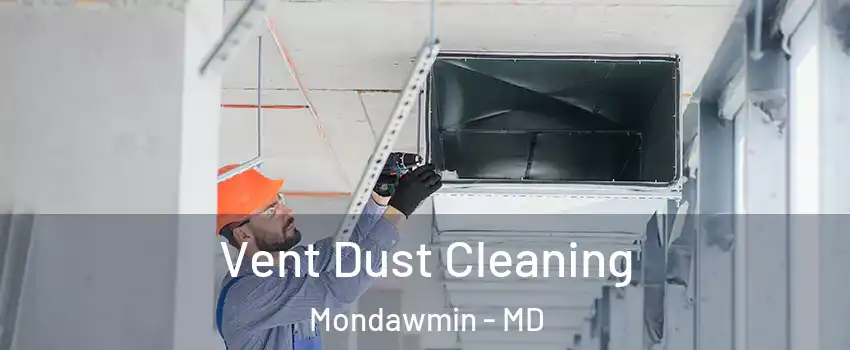 Vent Dust Cleaning Mondawmin - MD