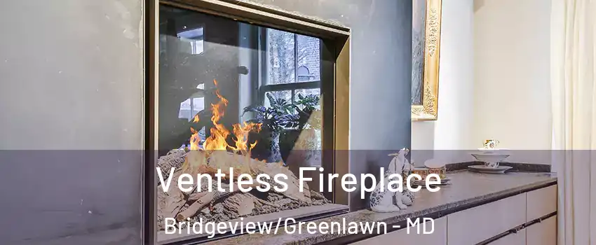 Ventless Fireplace Bridgeview/Greenlawn - MD