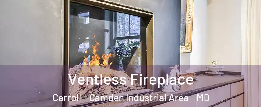 Ventless Fireplace Carroll - Camden Industrial Area - MD