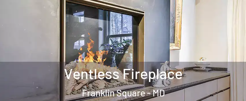 Ventless Fireplace Franklin Square - MD