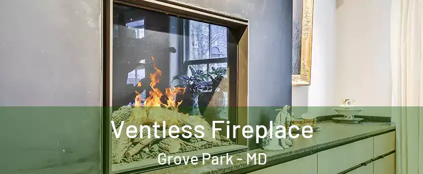 Ventless Fireplace Grove Park - MD