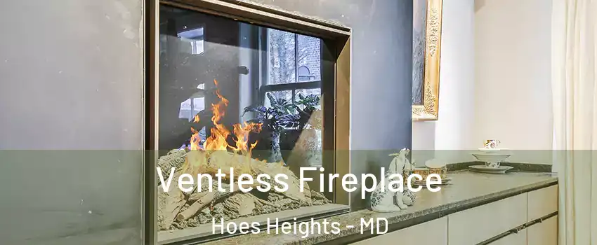 Ventless Fireplace Hoes Heights - MD