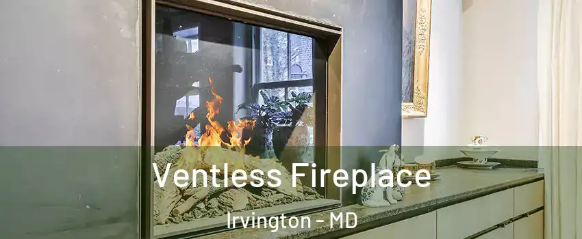 Ventless Fireplace Irvington - MD