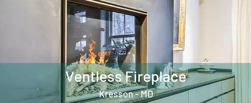 Ventless Fireplace Kresson - MD