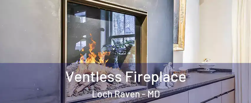 Ventless Fireplace Loch Raven - MD