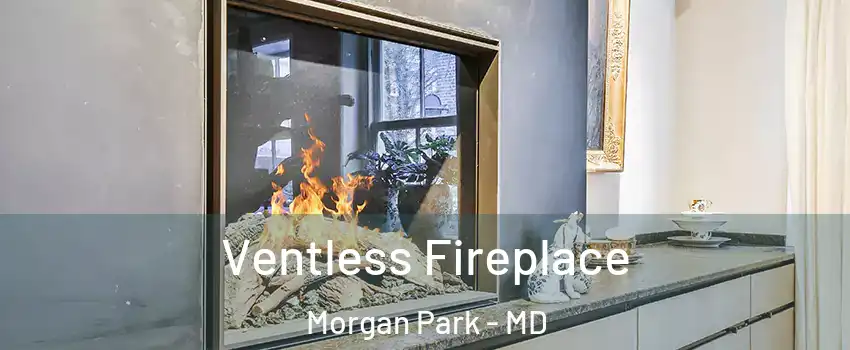 Ventless Fireplace Morgan Park - MD