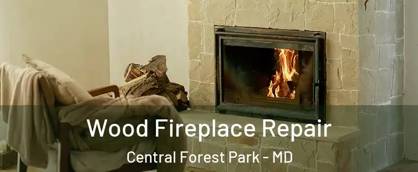 Wood Fireplace Repair Central Forest Park - MD